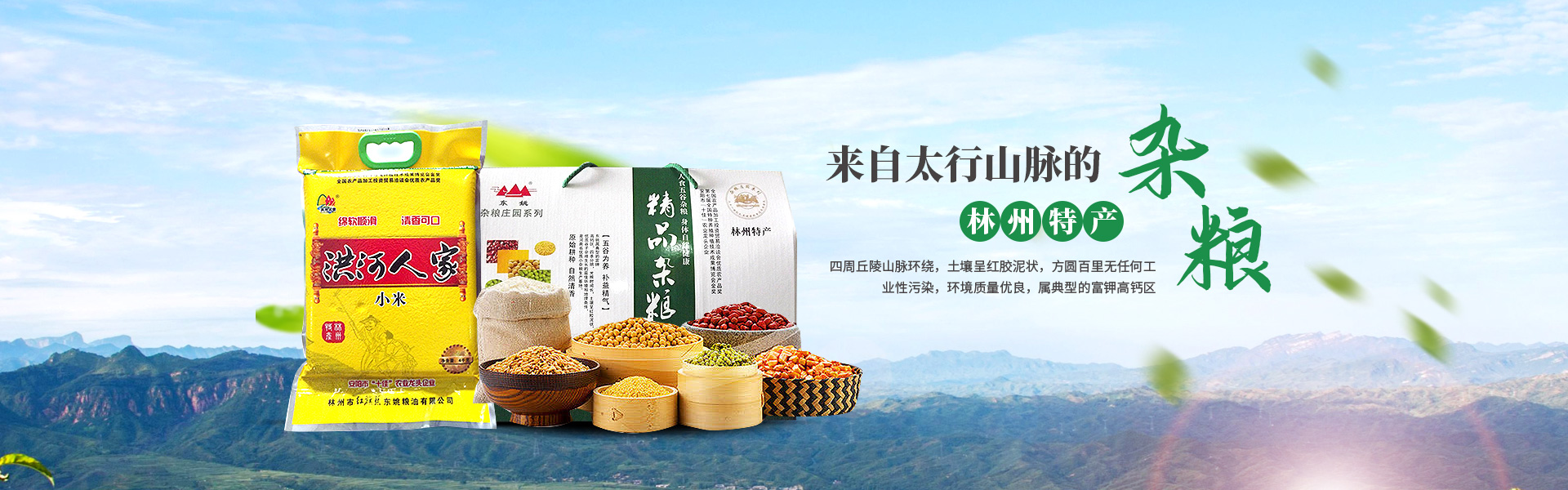 林州市紅旗渠東姚糧油有限公司官網_PC